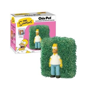 Chia Pet Handmade Decorative Terra Cotta Planter - Homer Simpson